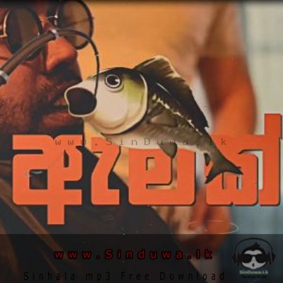 Amak - Costa